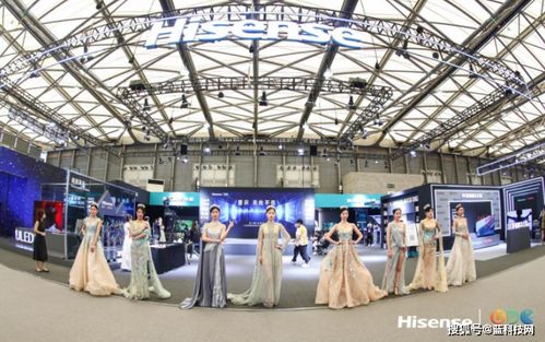 海信视像为什么是高质量增长的样板